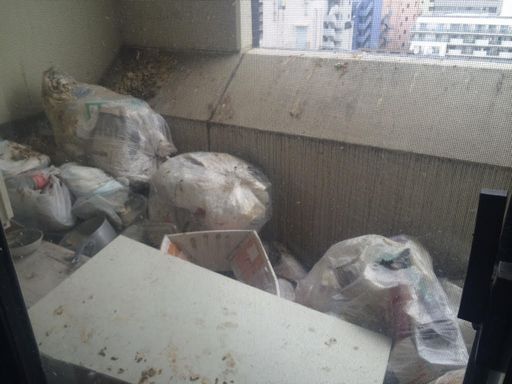 鳩糞清掃＆腐敗したゴミを撤去片付けたい。