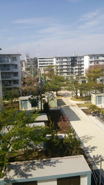 横浜市県営住宅団地の現状回復と同時お引越