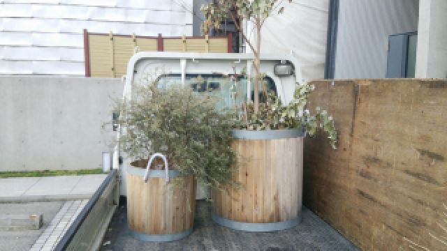 大型観葉植物・植木鉢を綺麗に片付け処分したい。