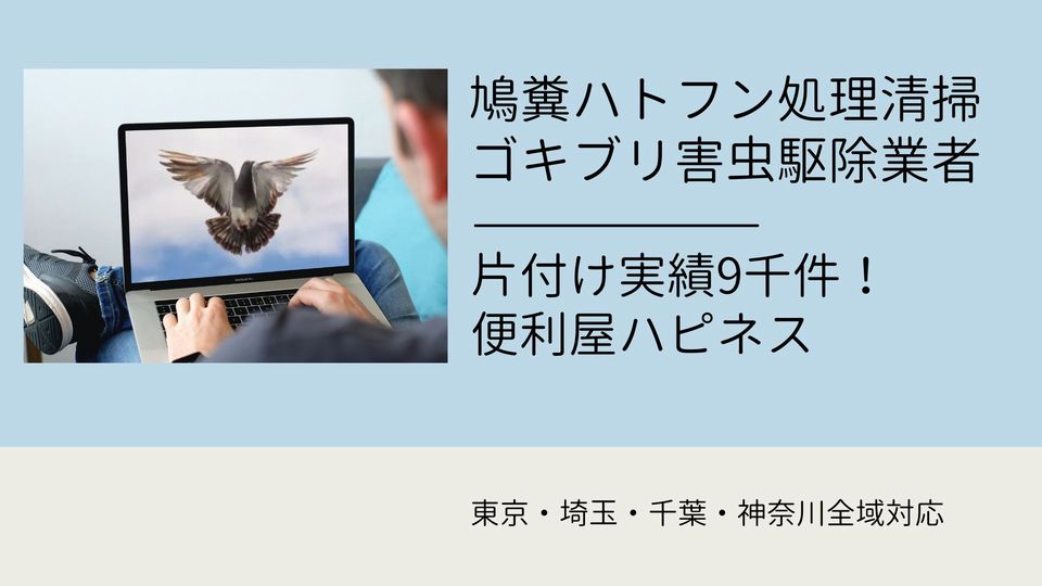 鳩糞ハトフン被害処理・鳩糞清掃片付け業者