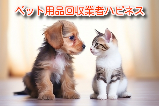 犬と猫