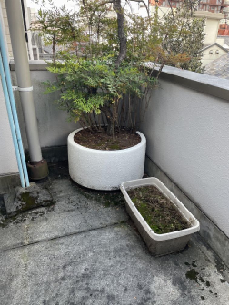 大田区大型植木鉢・プランター・観葉植物廃棄処分