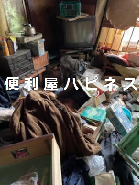 千葉県成田市競売物件 ゴミ屋敷物件 残置物撤去片付け