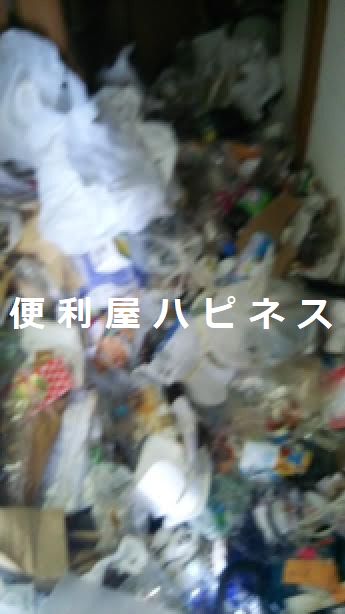 千葉県市川市ゴミ屋敷清掃