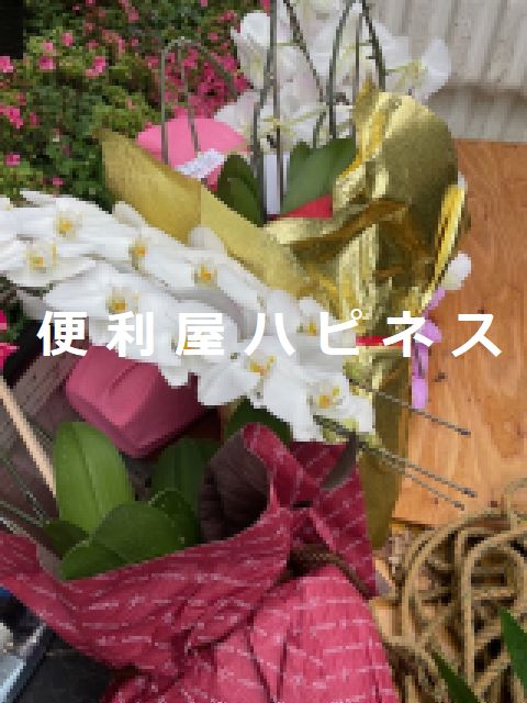 文京区で胡蝶蘭・生花・スタンド花の緊急即日廃棄処分