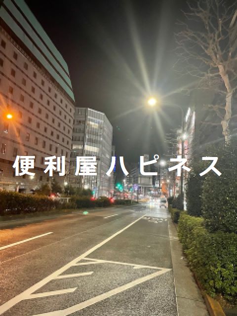 新宿区歌舞伎町|東新宿駅|