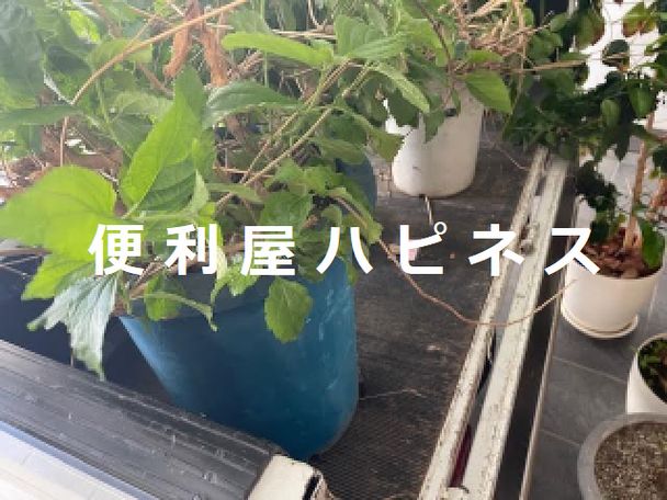 港区白金植木鉢プランターベランダ用品片付け作業
