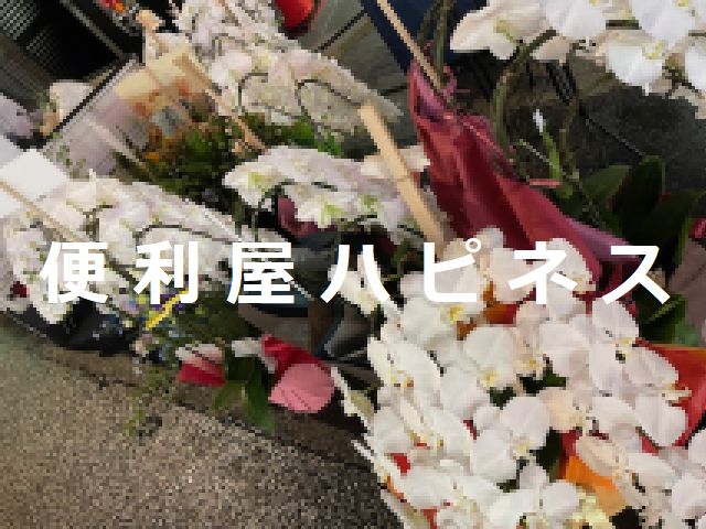 東京都豊島区胡蝶蘭 観葉植物 プランター大量廃棄処分