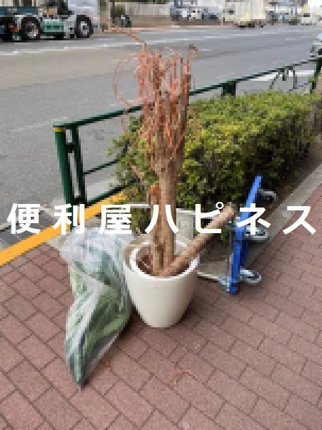 荒川区南千住で立会不要回収