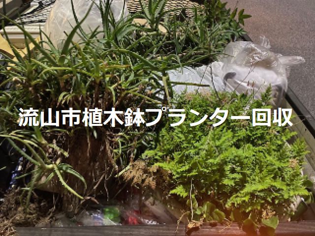 流山市植木鉢プランター回収
