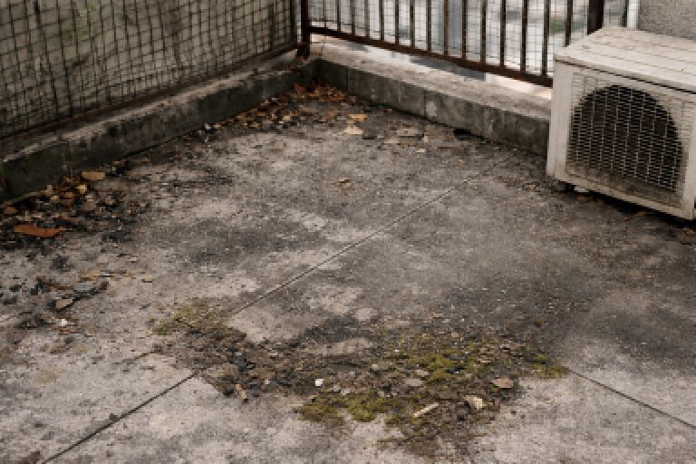 ゴミ撤去後のベランダ