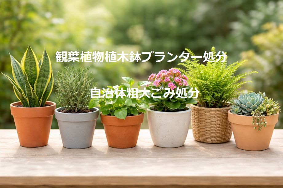 すぐできる植木鉢プランター処分方法６選！自治体粗大ごみ