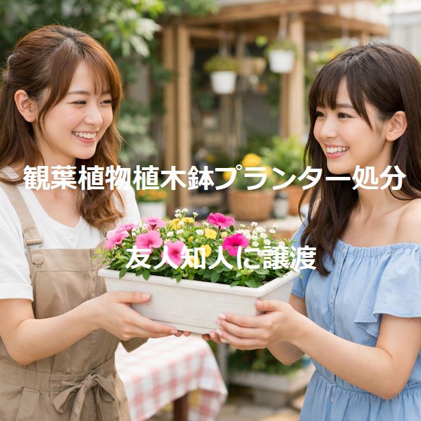 友人知人に譲渡