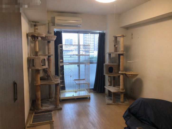 キャットタワー