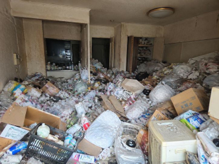 ゴミ屋敷