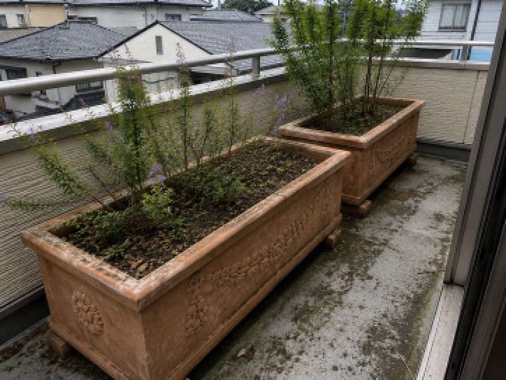 川崎市中原区戸建て修繕｜ベランダ大型プランター植木鉢緊急処分