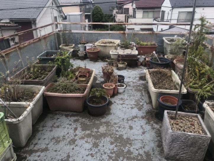 立川市戸建てベランダプランター撤去｜任意売却時の残置物撤去